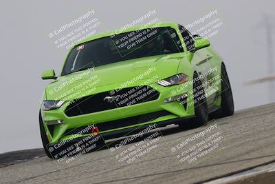 media/Nov-21-2025-Audi Club (Fri) [[8110d52e1e]]/Open Track Photos/3 Grapevine/